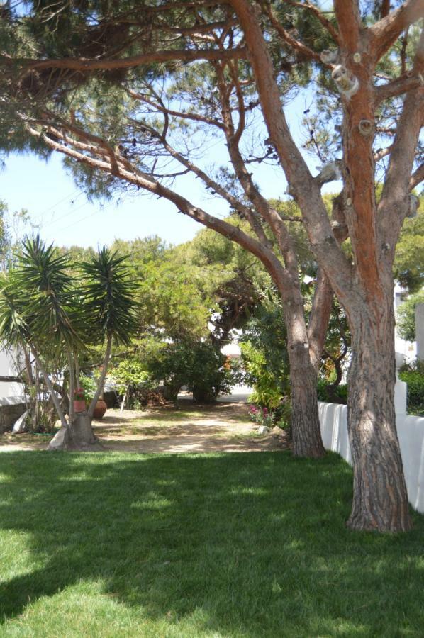 Secret Garden Apartments Mykonos Town Екстер'єр фото