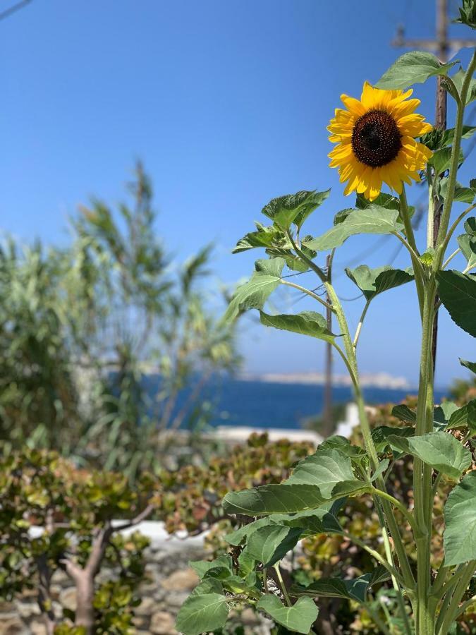 Secret Garden Apartments Mykonos Town Екстер'єр фото